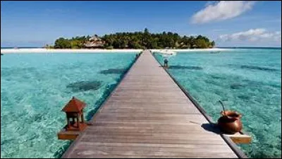 Quel personnage du trio emblématique de Poudlard est rentré chez lui durant les vacances de Noël de sa première année d'études ?