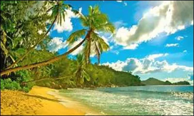 Comment dit-on "vacances" en anglais ?