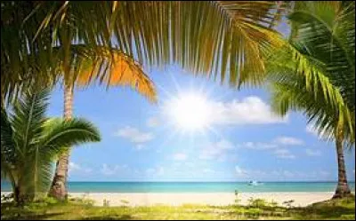 Qui a écrit le roman "Deux ans de vacances" ?