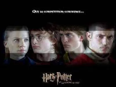 Combien de personnes ont &eacute;t&eacute; choisies pour participer au Tournoi des Trois sorciers ?