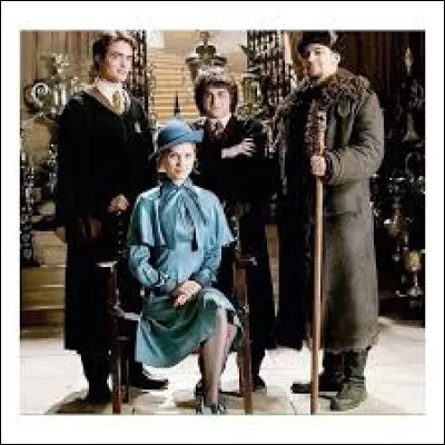 Comment s'appellent les personnes choisies pour participer au Tournoi des Trois sorciers ?