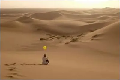 Quand la deuxième guerre du Golfe s'achève-t-elle officiellement ?