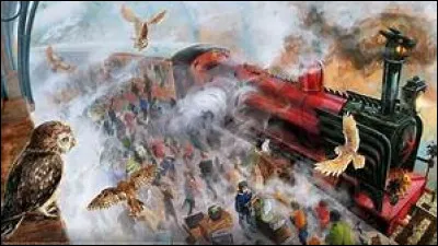 Dans quelle maison de Poudlard la petite Natalie McDonald est-elle allée ? Indice : c'est dans le quatrième livre !