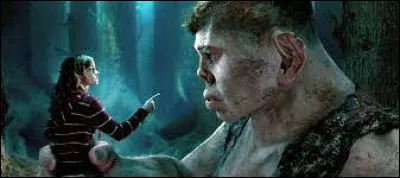 Comment s'appelle le demi-fr&egrave;re de Hagrid ?
