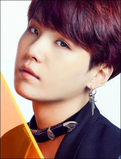 Suga a rejoint le groupe :