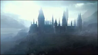 Quel était le prénom de Mademoiselle Poufsouffle ?