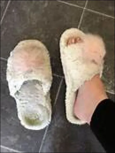 Que ne possède pas le chausson pour être appelé une mule ?