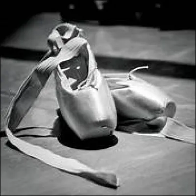 De quel pays le chausson au sérac vient-il ?