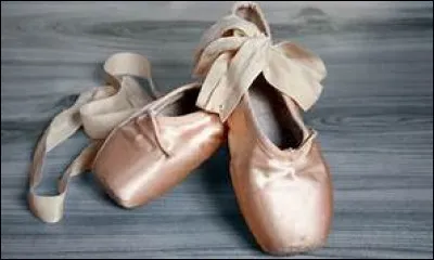 Dans lequel de ces sports des chaussons sont-ils nécessaires ?