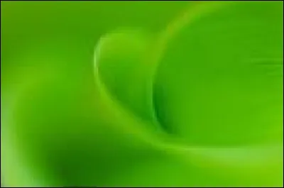 Comment dit-on cette couleur ?