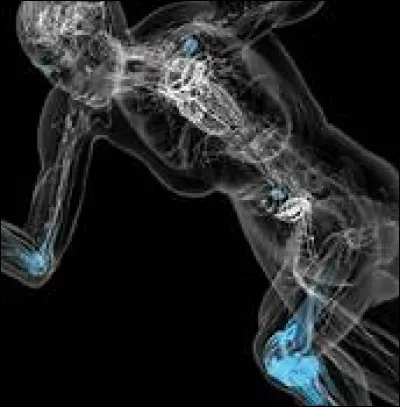 Quelle opération chirurgicale permet d'ôter un ou deux seins ?