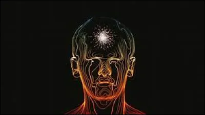 Lequel de ces termes désigne les douleurs ressenties aux seins ?