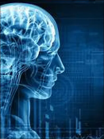 Laquelle de ces lettres correspond à la taille de seins la plus petite ?