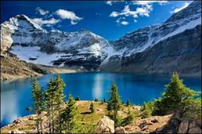 En quelle unité mesure-t-on une force ?