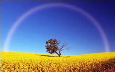C'est la couleur que vous verrez le plus lors du Nouvel An chinois :