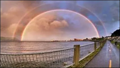 Au XIVe siècle notamment, les membres de la famille d'une prostituée étaient forcés de porter cette couleur :