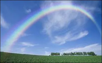 Dans la Chine Impériale, cette couleur était celle de l'Empereur :