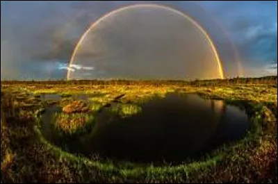 En Chine, c'est la couleur de la guérison et du calme !