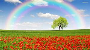 Quiz Couleurs