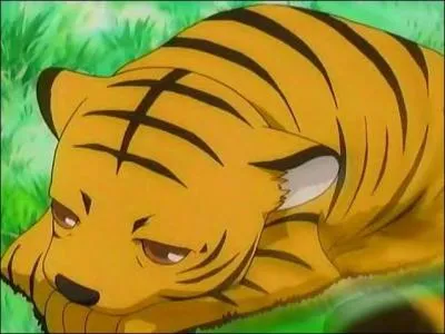 Qui se transforme en tigre ?