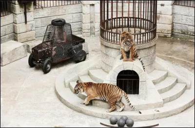 Comment s'appelaient les tigres du fort ?