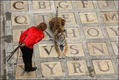 Pourquoi ne sont-ils pas là cette année (2022) ?