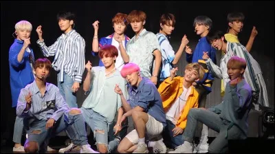 En quelle année ont débuté les Seventeen ?