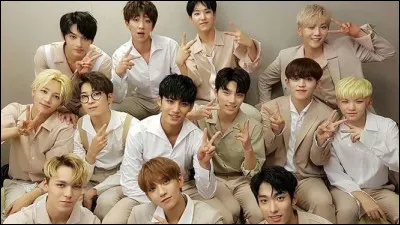 Quel est le nom de leur fan club ?