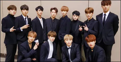 Comment s'appelle leur agence ?