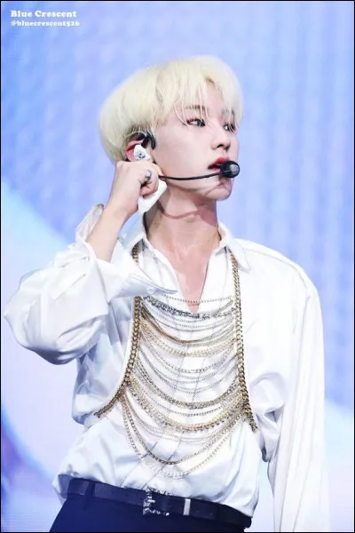 Quel membre est le leader vocal ?