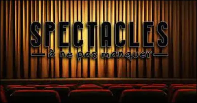 Mise en situation : tu dois préparer un spectacle. Quel genre de spectacle vas-tu présenter ?