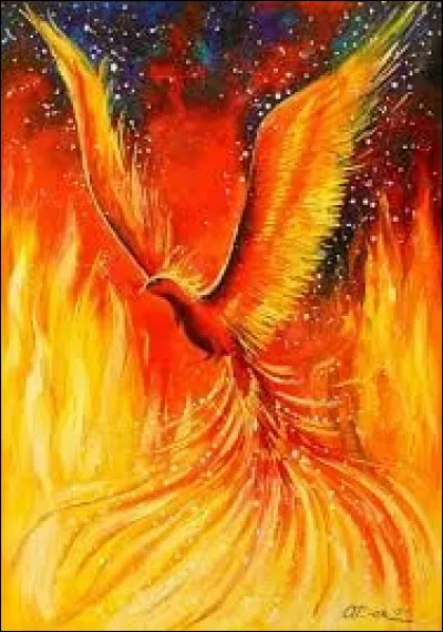 Et comment s'appelle son phénix ?