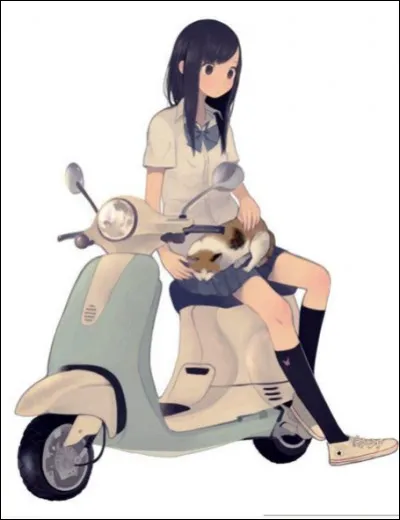 Tu veux un scooter mais tes parents refusent. Que fais-tu ?