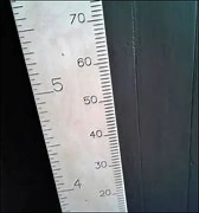 Vous êtes plutôt :