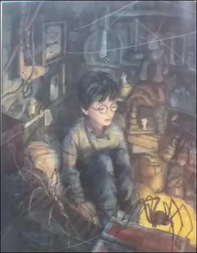 Où dort Harry jusquà ses 11 ans ?