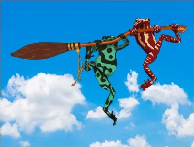 Comment sappelle le tout nouveau modèle de balais ?