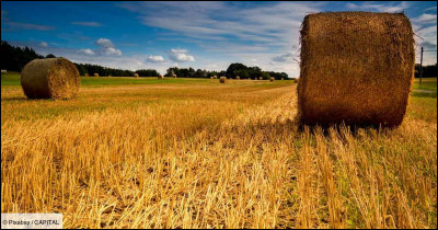 Je suis une étendue de terre propre à la culture. Que suis-je ?