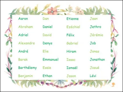 Quel prénom de garçon préfères-tu ?