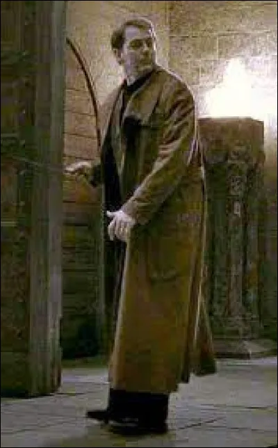 Quel personnage n'est pas Auror ?