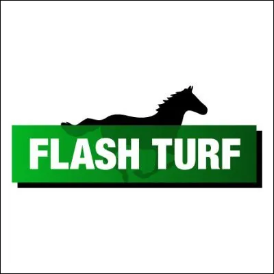 À quelle chanteuse faut-il attribuer le titre "Flash" ?