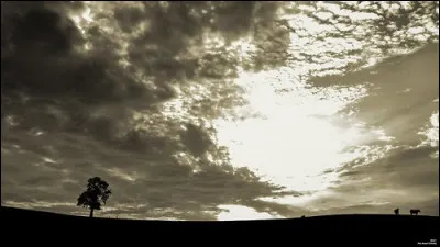 Toujours en 1986, quel groupe chantait le tube "Le Jour s'est levé" ?