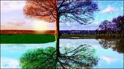 Quelle est ta saison préférée ?