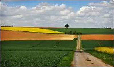 En 2019, quel était le taux de chômage retrouvé dans la région ?