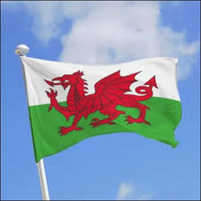 Ce drapeau est celui :