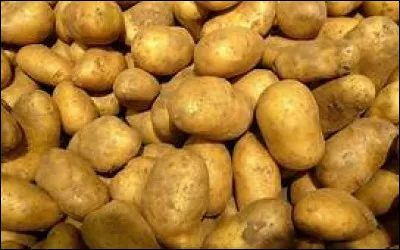 Quand la pomme de terre a-t-elle été introduite en Europe ?