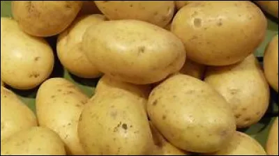 Et qui l'a introduite en France ?