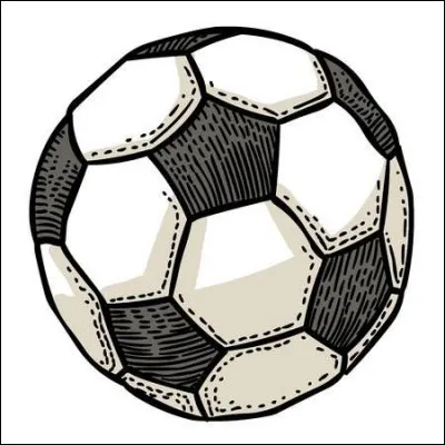 Quel footballeur est surnommé "Il Fenomeno" ?