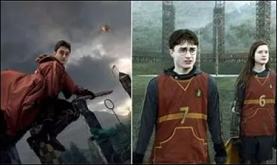 Quel est le r&ocirc;le de Ginny dans l'&eacute;quipe de Quidditch de Gryffondor ?