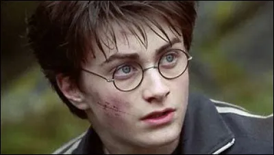 Avec qui Dumbledore va-t-il chercher un Horcruxe ?