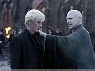 Qui tente de tuer Dumbledore ?